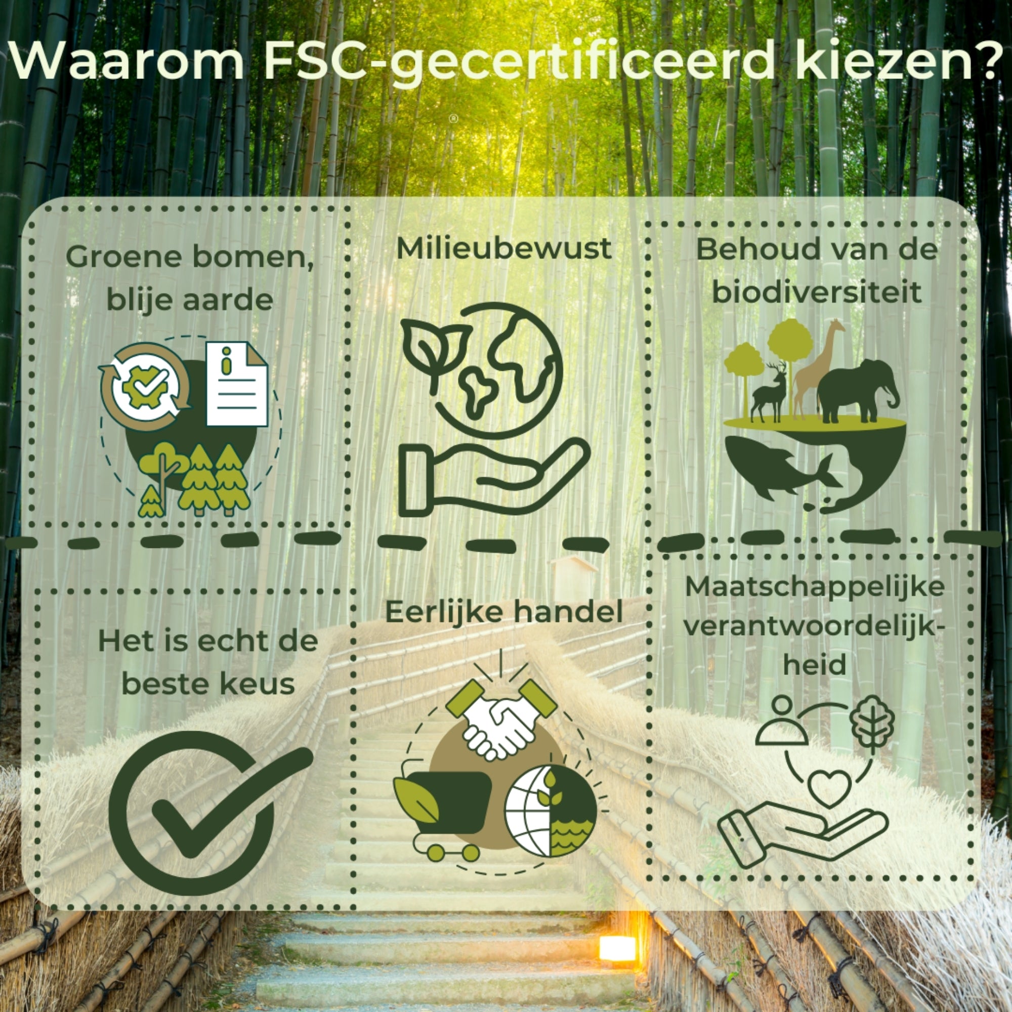 Opstapje Bamboe Wit- Keukentrapje 2 treden - Opstapkrukje Hout